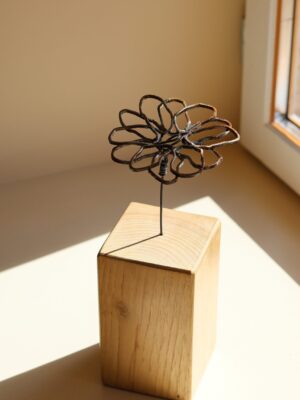 Persistante n°12