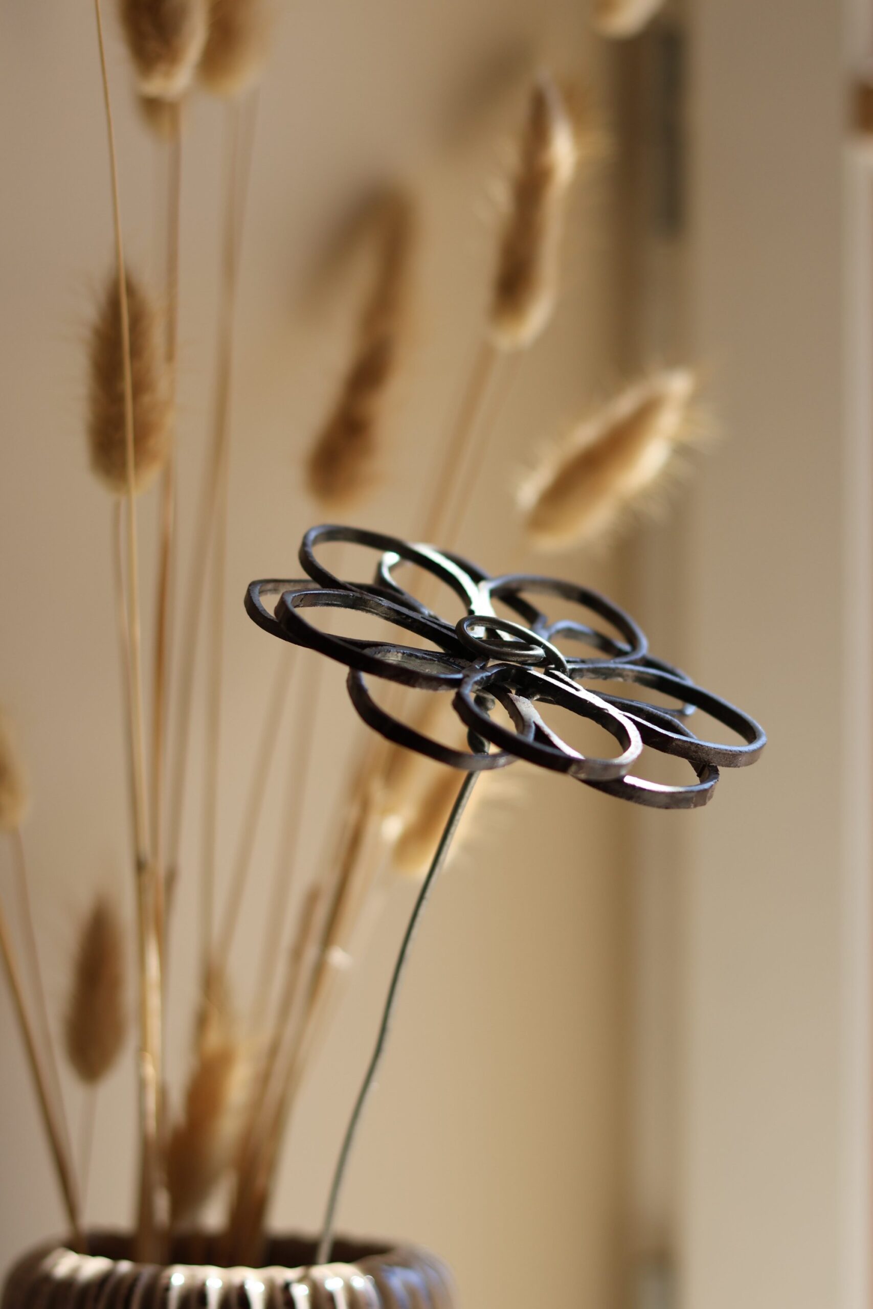 Lunaria – Image 4