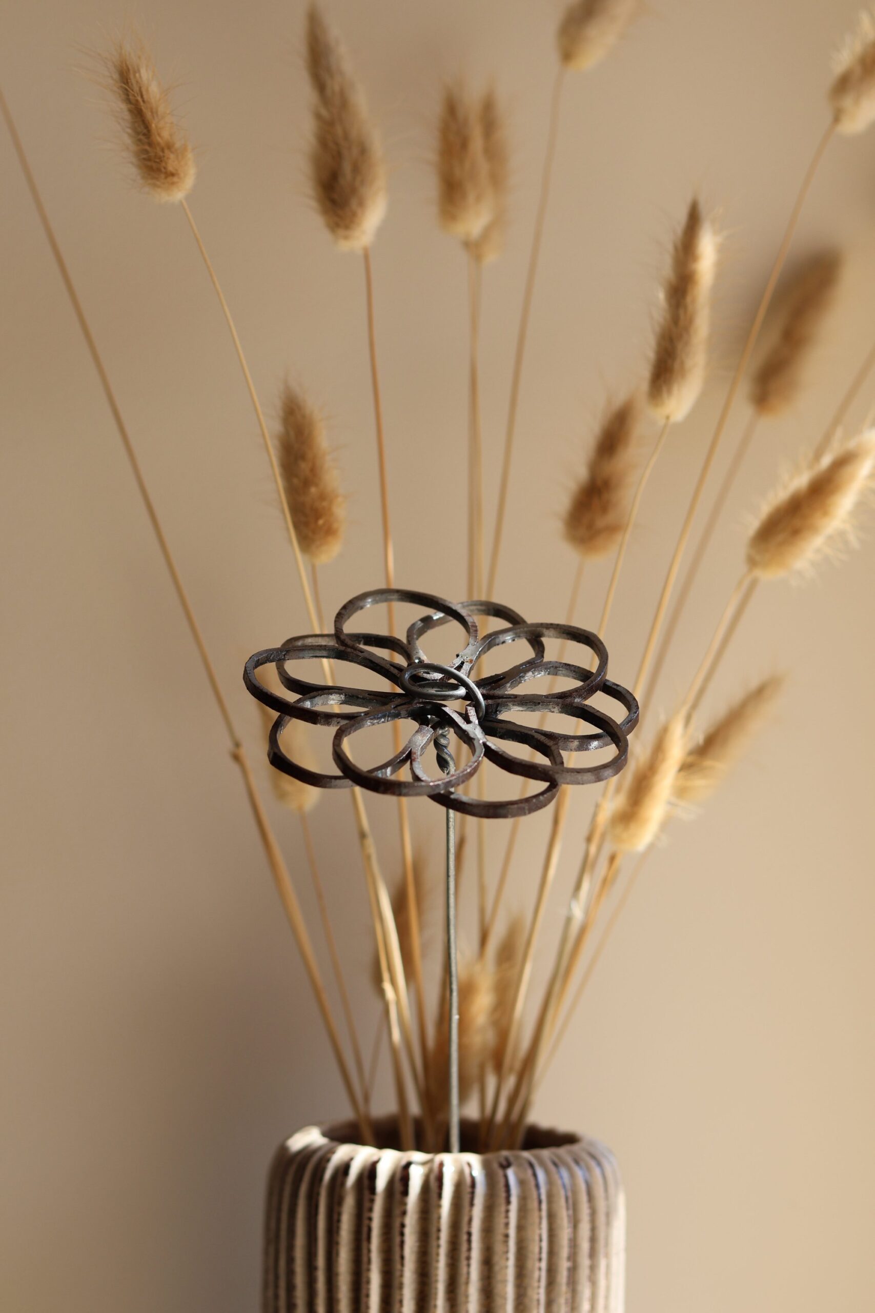 Lunaria – Image 3