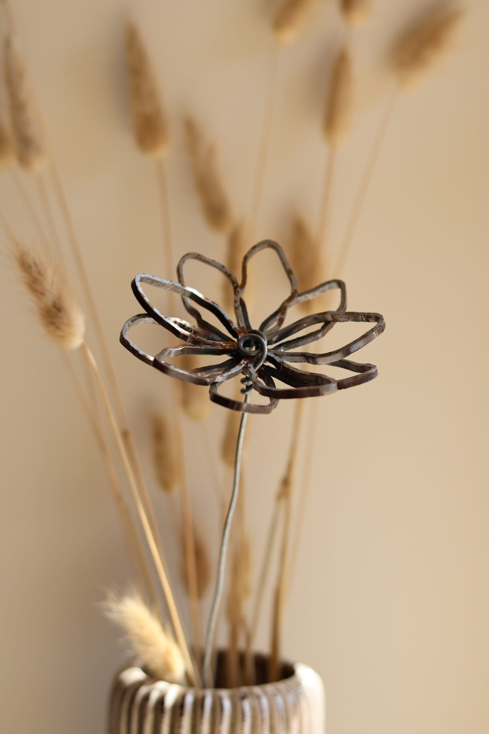 Verveine – Image 4