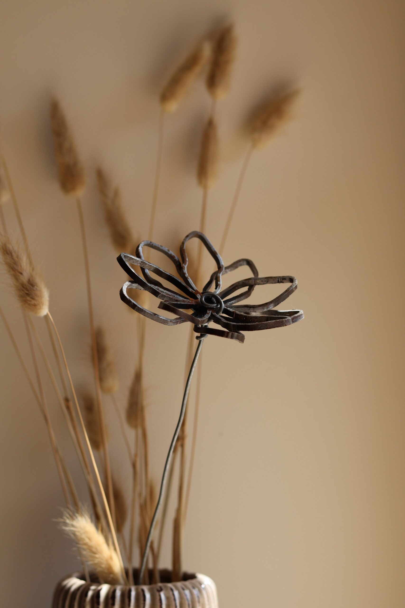 Verveine – Image 3