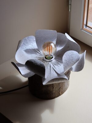 Lampes
